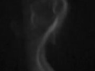 queensiyeon onlyfans Naughty skin posing in lingerie