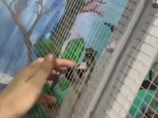 bwctravelvids onlyfans 19-03-2022 performance Latest broadcasting