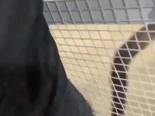 bwctravelvids onlyfans Skinny girl posing nude