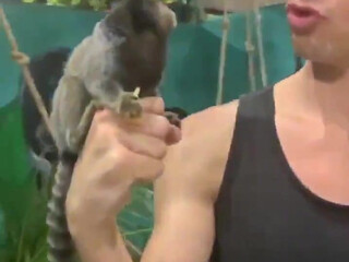 bwctravelvids onlyfans April-22-2022 performance