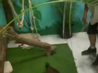 bwctravelvids onlyfans 22_01_2022 webcam masturbation