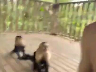 bwctravelvids onlyfans Cute cutie caresses shaved pussy