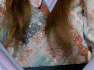 moonandstars713 onlyfans Lustful mare caresses boobs