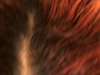 Kya aka dabofkya onlyfans Coquette shows shaved holes