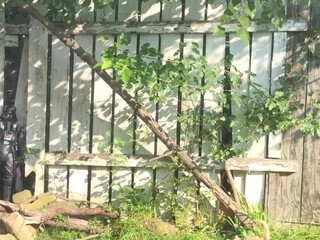 moonandstars713 onlyfans Shy young lady caresses intimate places