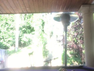 Jaylene Rio aka jaylenerio onlyfans Petite nipple teasing her holes