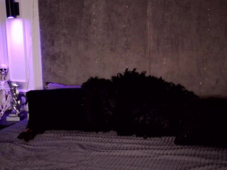 miladenver chaturbate 22_01_2022 broadcast