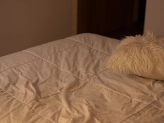 winona__ chaturbate The Shrew is naughty with a vibrator