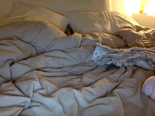 shygirllxo chaturbate 29-03-2022 performance Latest show