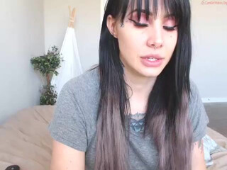 ashlie_lotus chaturbate 19_02_2022022 Full ticket show