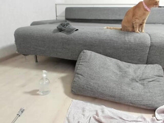 honey_sunshine chaturbate Pay-per-view show May-14-2022