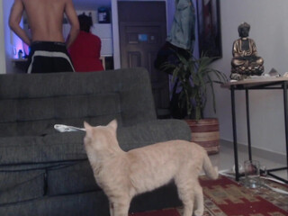 fratguysonline chaturbate Cute babe having fun in fries