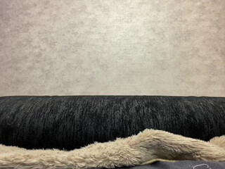 justBella Elegant Shmara engaged in lustful caresses