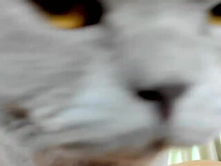 adysweet amazing newest video April-16-2022