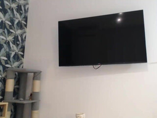 sphynx_lions onlyfans Latest June 2022 video 10