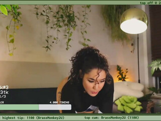 terraforest March-13-2022 performance