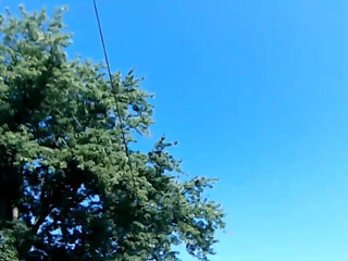 farmgirl__  fucks his holes in fornt of the webcam