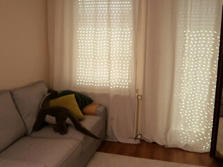 sonyaplush chaturbate Stocking babe shows elastic tits