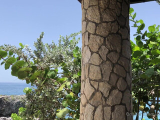 Dani Daniels aka akadanidaniels onlyfans amazing shows pussy