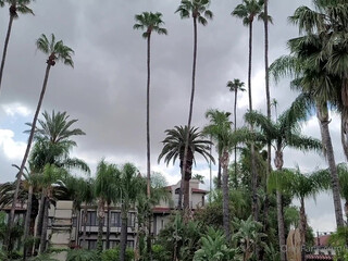 Britney Amber aka britneyamber onlyfans hot prostitute poses in shorts