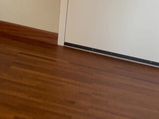 Adiana aka adianababy aka adianababyxo onlyfans hot nipples and lick the dildo