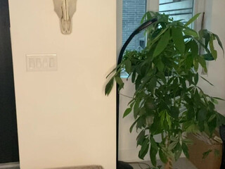 Madison Winter aka MadiTown onlyfans beautiful bitch hammering her ass