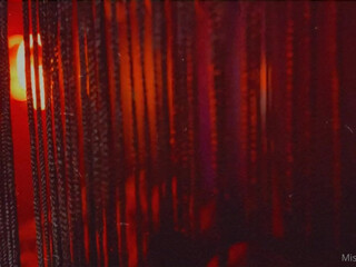 Lacy Lennon aka misslacylennon onlyfans  curly podrachuha