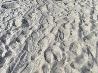 Francia James aka francety onlyfans wild confused jumps on sex toy