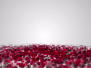 Ashley Lucero onlyfans watch 2-08-2022 camerawork