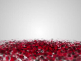 Ashley Lucero onlyfans mare in stockings mandrazz pussy