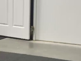 fitbryceadams onlyfans ardent shlendra licks dildo