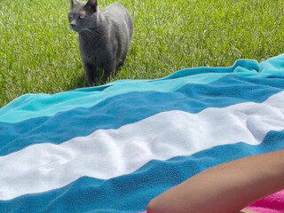 fitbryceadams onlyfans cam stream may-19-2022