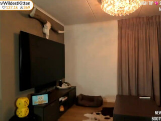 wildestkitten chaturbate 15 july 2022 footage