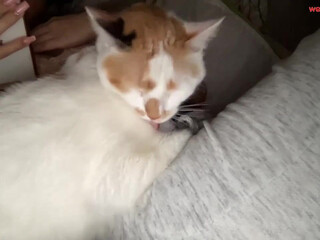 babygabii_ chaturbate record Jan-6-2023