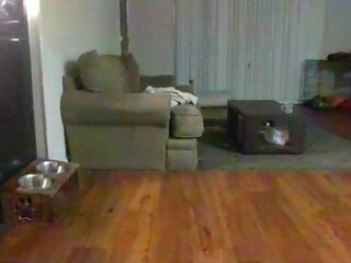 littleone491 chaturbate latest pvt show april-8-2023 camrecord