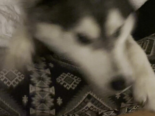 Meiminato onlyfans  Latest