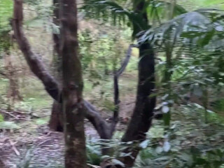 Bbyl1ng Onlyfans Porn Newest june-2024-12 (2)