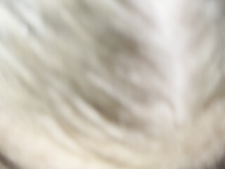 Rachel_Mann347 Onlyfans Porn Newest june-2024-12 (3)