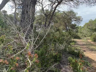 Baby_Buffyvip Nudes OnlyFans 08-Sept-2024 (2)