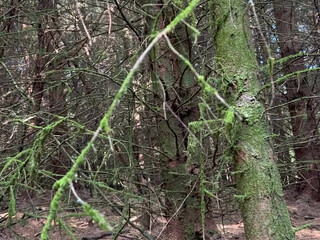 Baby_Buffyvip Nudes OnlyFans 08-Sept-2024 (1)