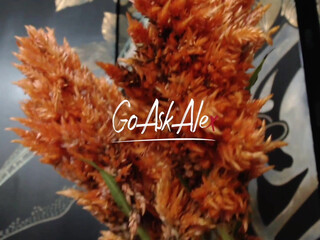 Goaskalex Nudes OnlyFans 08-Sept-2024 (3)