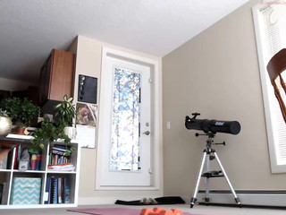 lavenderhaze  show 11th of December