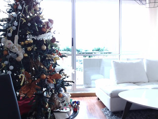 hornyco57  show 16th of November