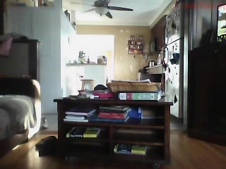 rebelchik1  13 November 2018