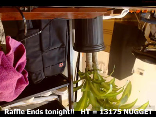 gayloft  Fingering pussy and sperm flowing