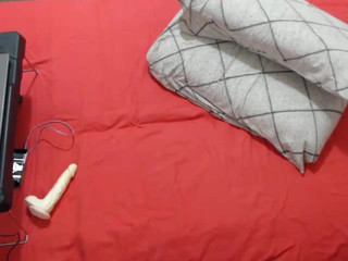 hot_hayde  chaturbate record