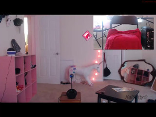 kalikitty  Cheap webcams whore