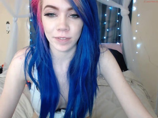 ledabear  Webcams exhibit representing tokens