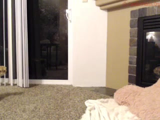 felixmeow  record from 15th of September