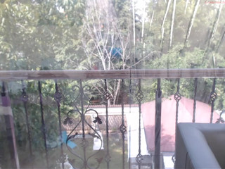 saradelightt  spreading in private chat